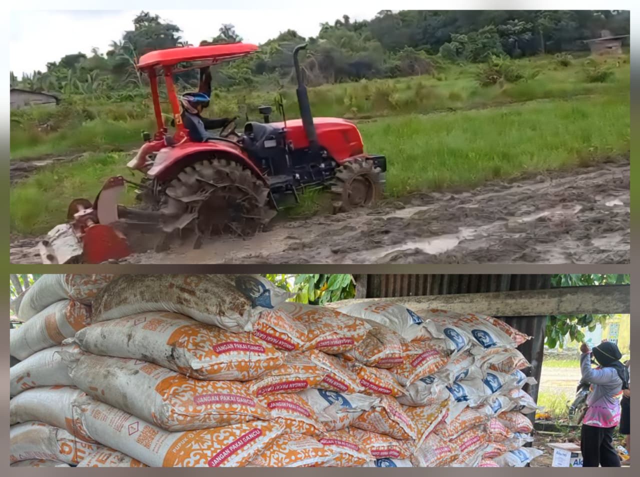 1763627293_WhatsApp Image 2025-11-20 at 16.28.01.jpeg